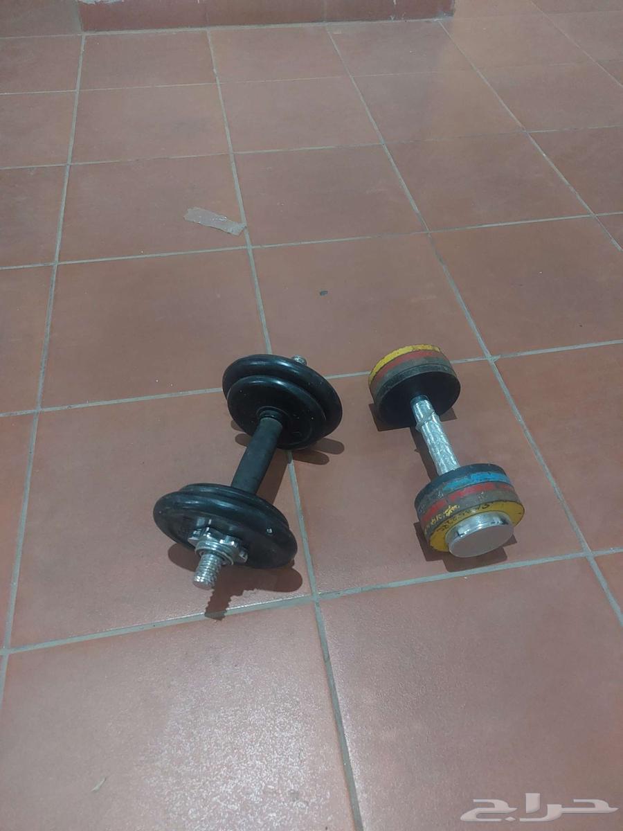 دنبل حديد ممتاز جدا ودلب خشب صغير64471773879169110