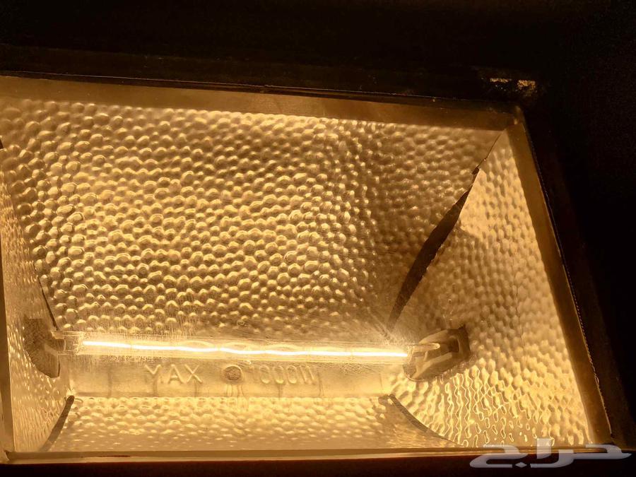 كشاف كهربائي واضوية نيون للبيع64477185561729110