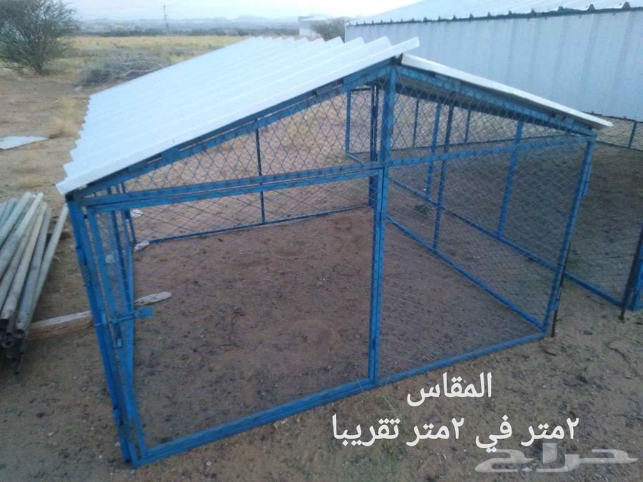 Chicken Coop Wire Mesh with Small Holes, Various Sizes64146509836417113