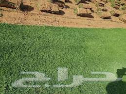 ثيل طبيعي CL2000 درجه اولى64472784787970112