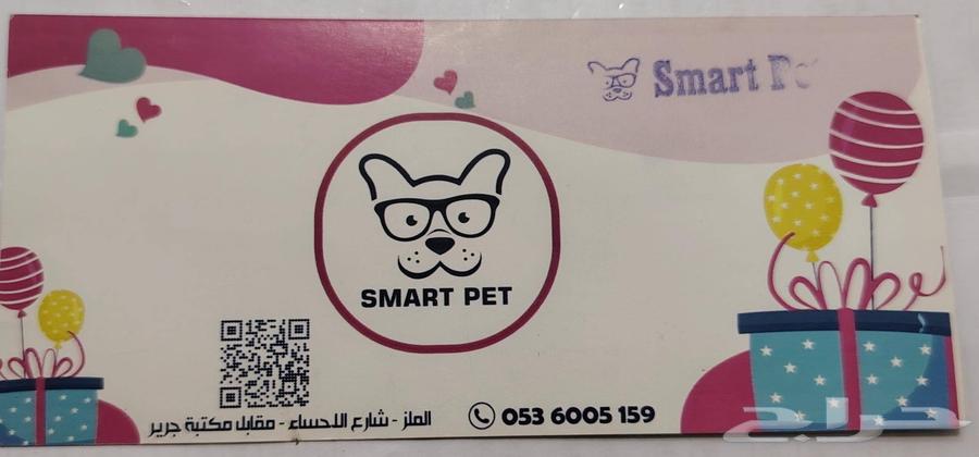 كارت عنايه مجانيه للقطط   السعر الاصلي 250 ويوجد خصم 5064477686129411111