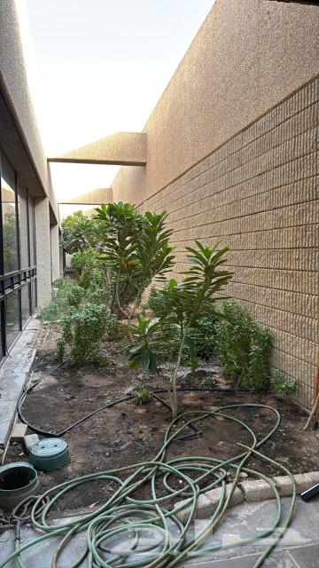 مشتل تنسيق حدائق وزهور64507109728259114