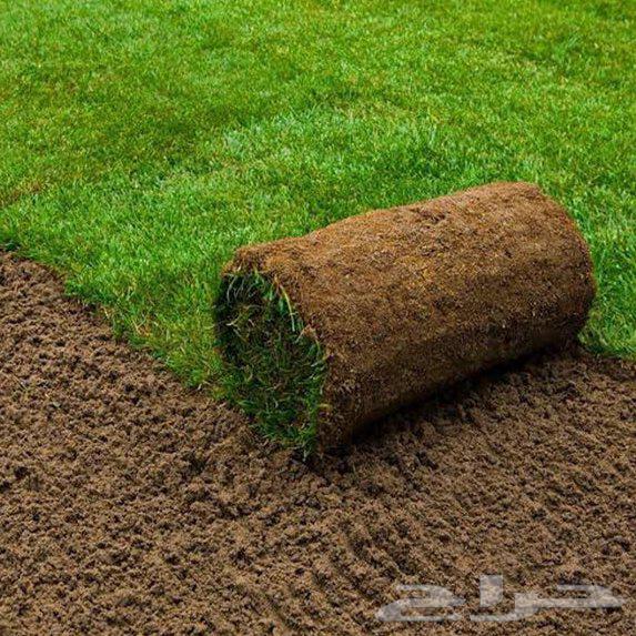 ثيل طبيعي CL2000 درجه اولى64472784787970113