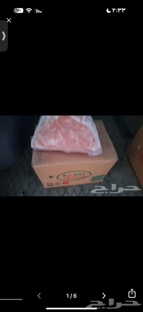 Chicken Fillet Export64478169506179113