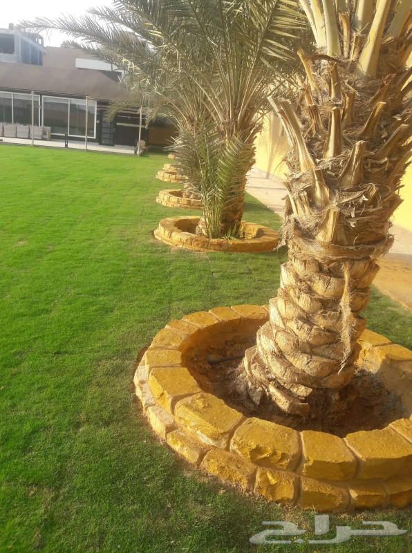 Natural stone craftsman, wall decorations, floor installations64146166366977113