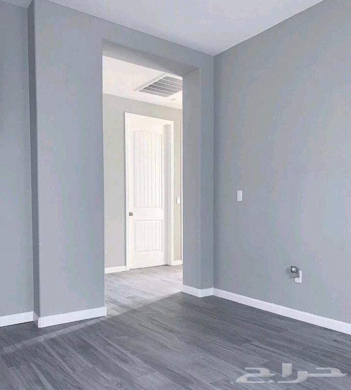 معلم بويات ودهانات64210554616195111