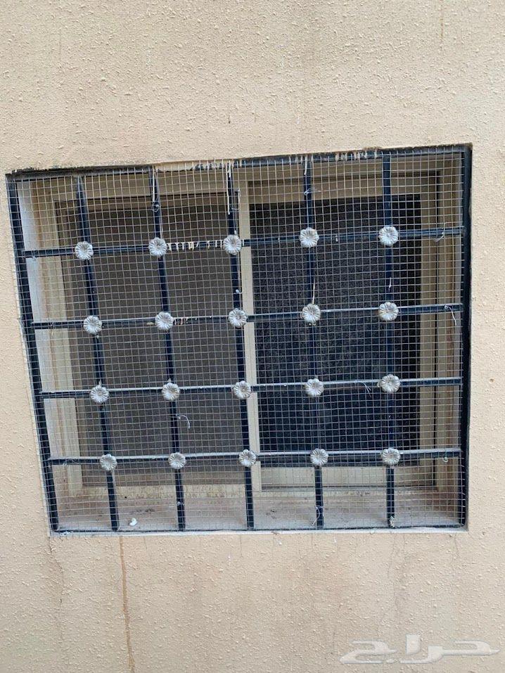 Bird Spike and Netting Deterrent for Pigeons64381040780161111