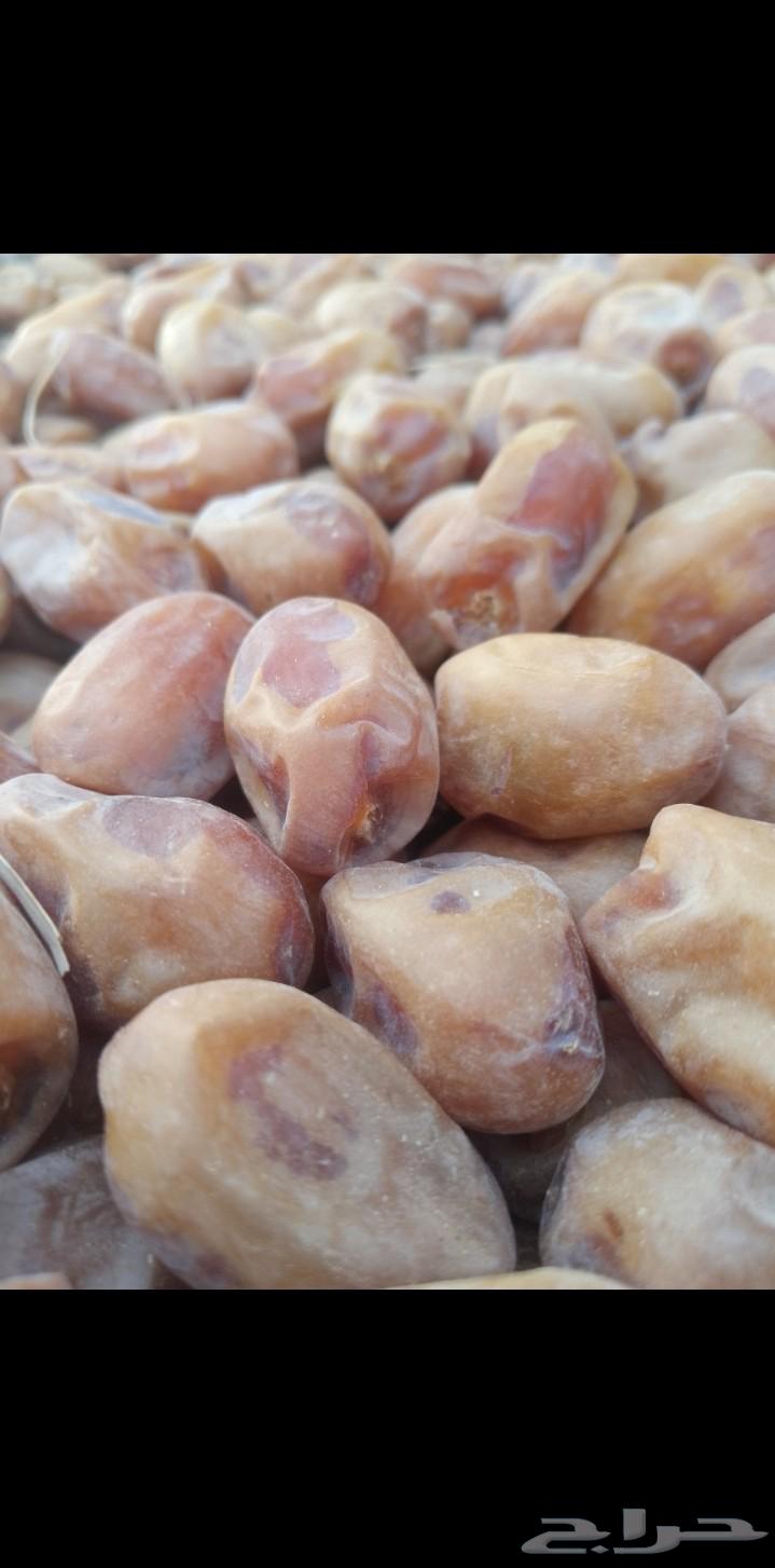 يوجد لدينا تمور فاخره للبيع اخلاص64477880589315111