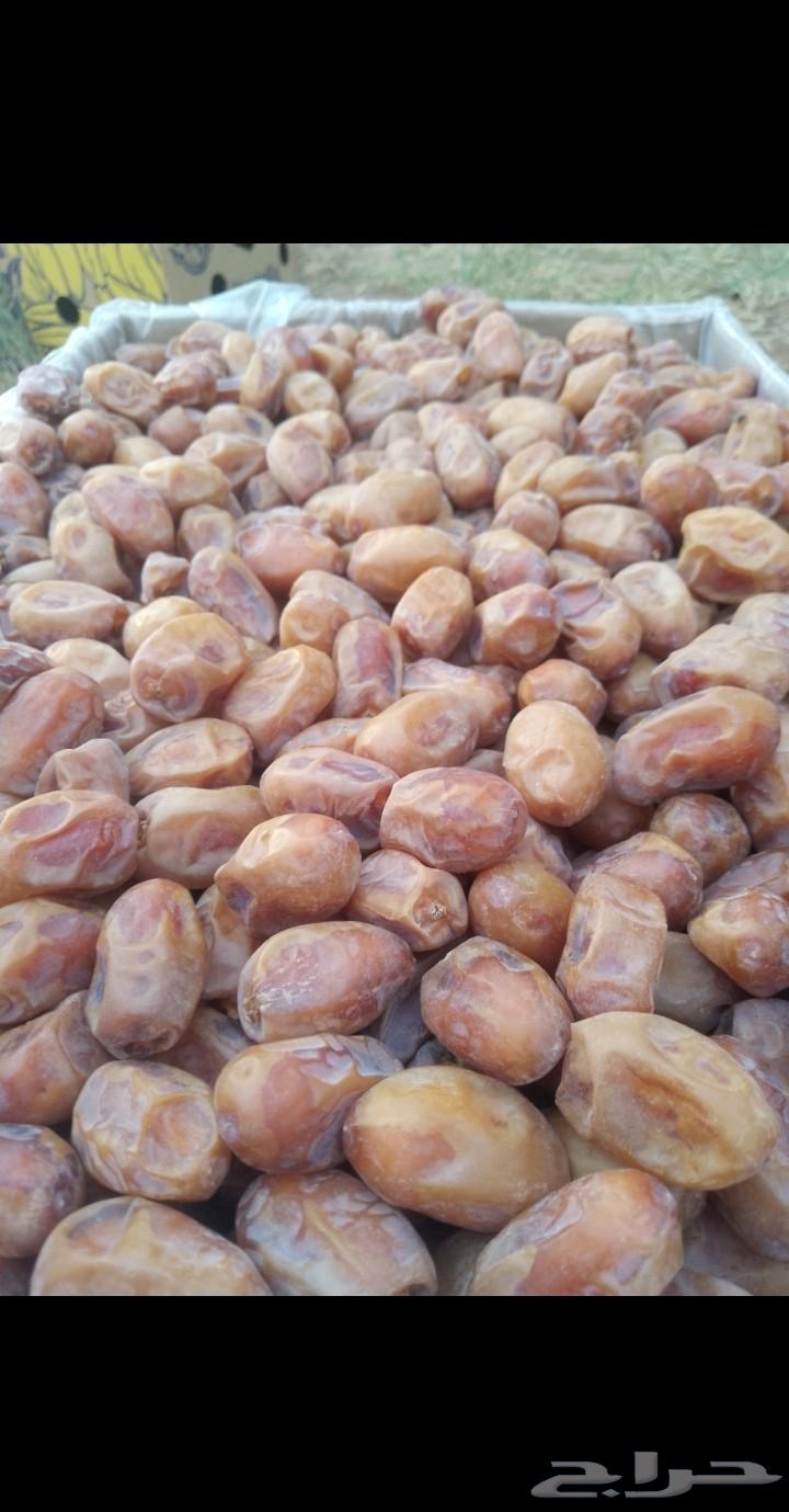 يوجد لدينا تمور فاخره للبيع اخلاص64477880589315114