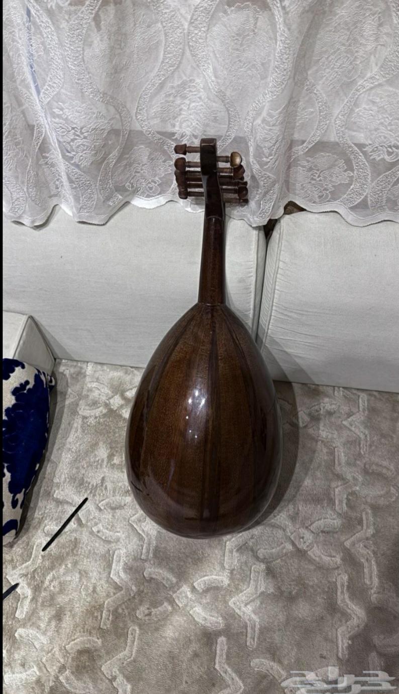 عود زرياب 064474283665538110