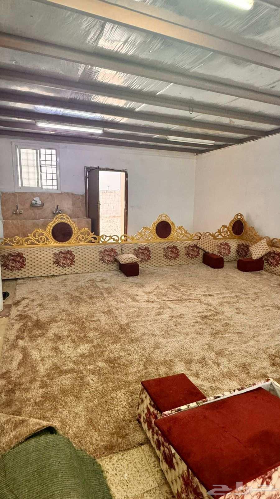 Cushions and mat 5in464474776488066111