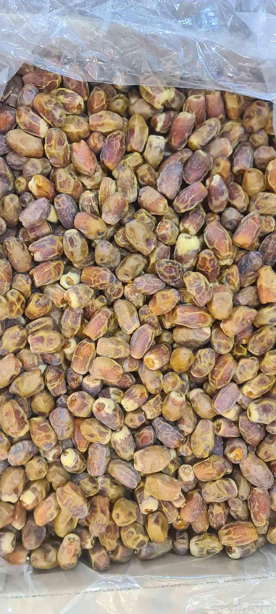 Saqi Dates from Al-Majma'ah64473037120387110