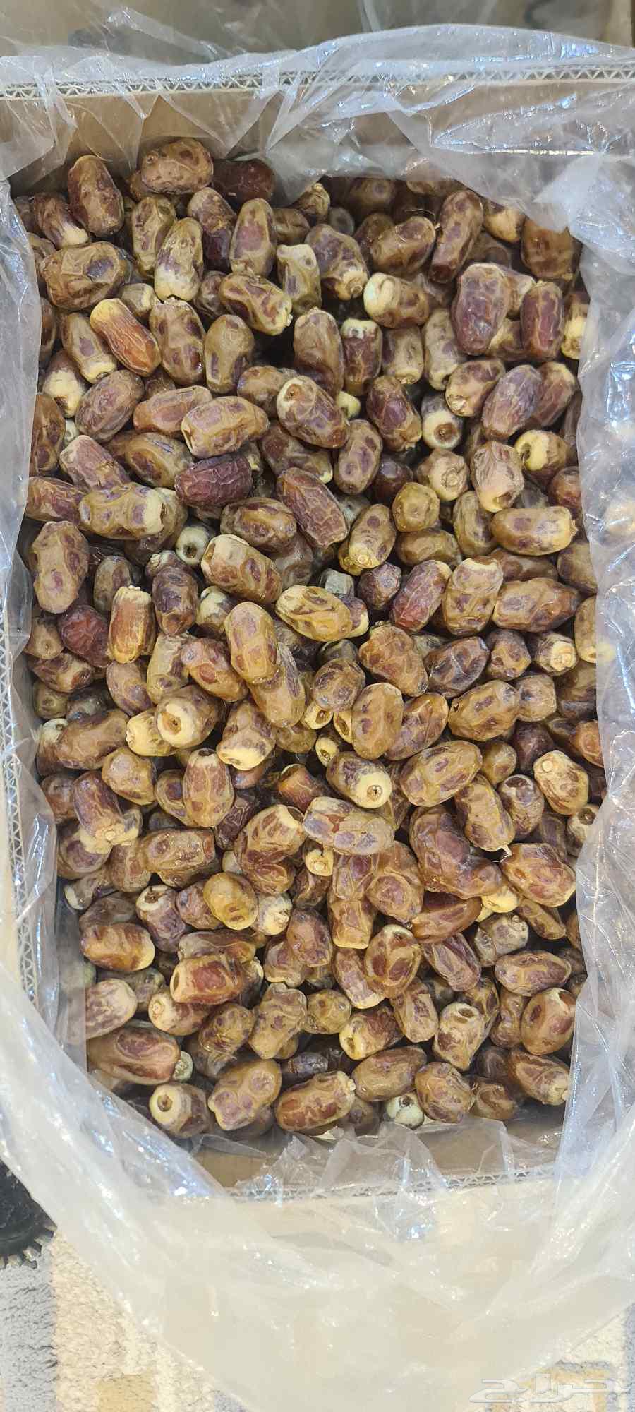 Saqi Dates from Al-Majma'ah64473037120387111