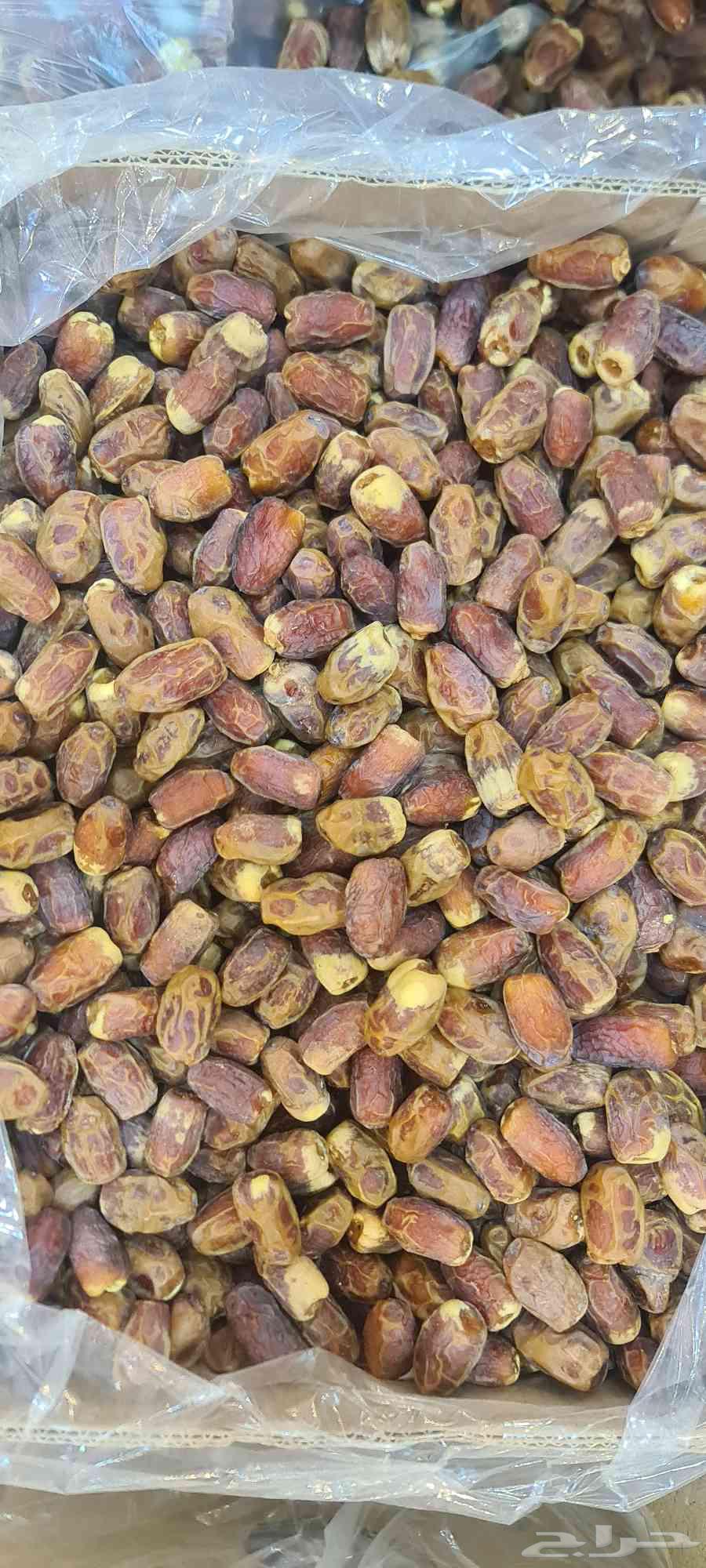 Saqi Dates from Al-Majma'ah64473037120387114