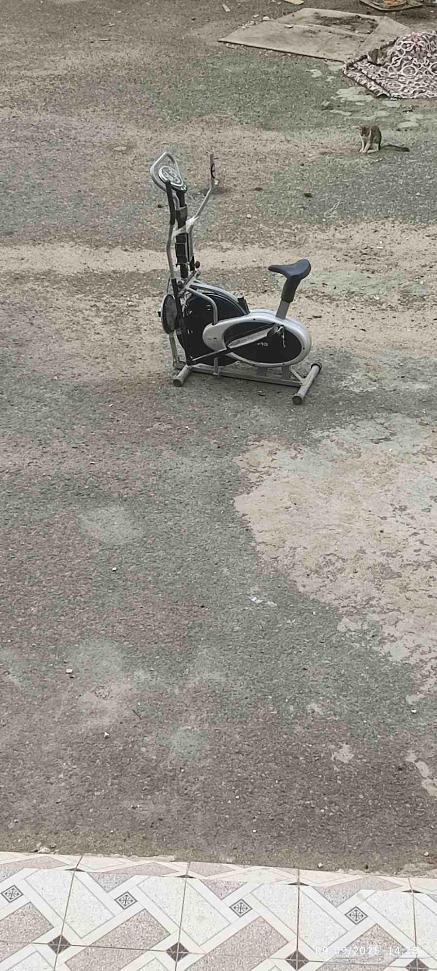 جهاز رياضي نظيف 3في 164474331004289112