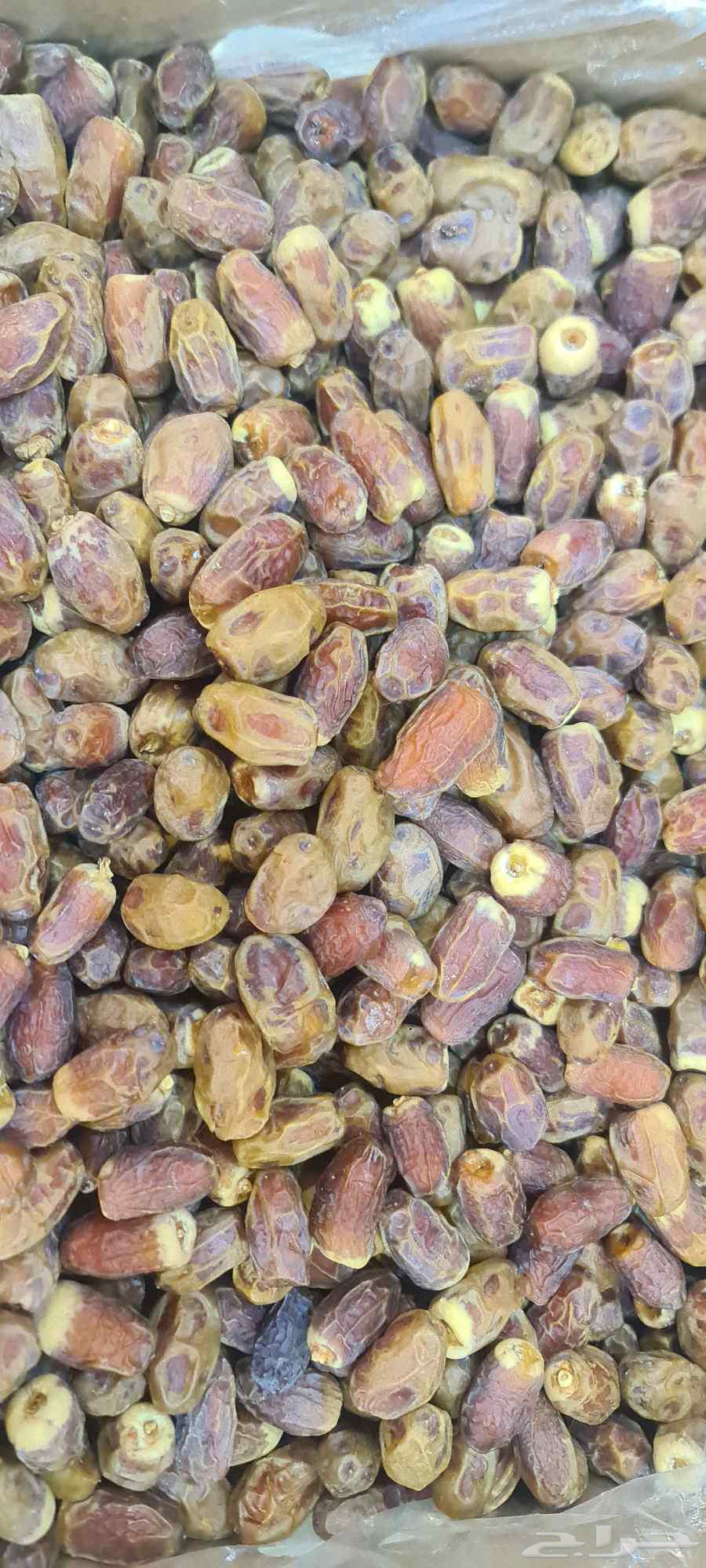 Saqi Dates from Al-Majma'ah64473037120387112