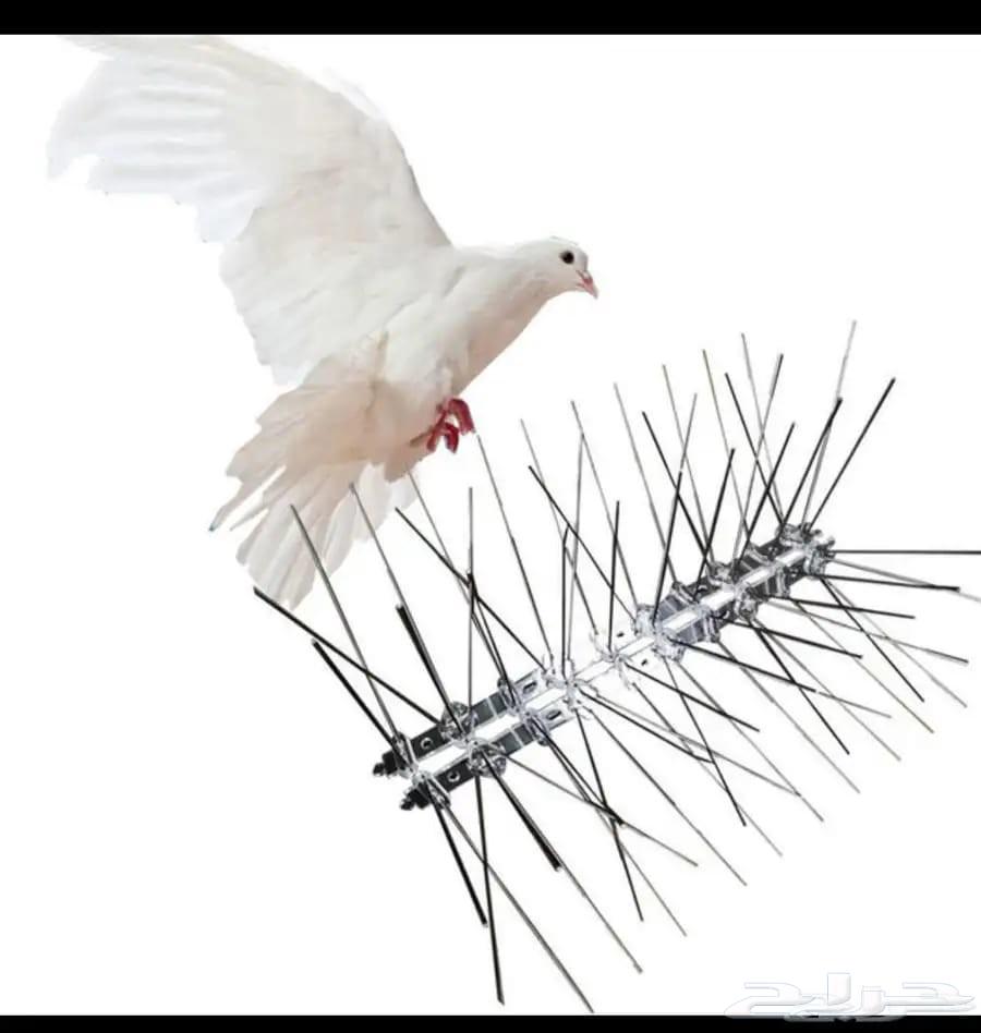 Bird Spike and Netting Deterrent for Pigeons64381040780161114