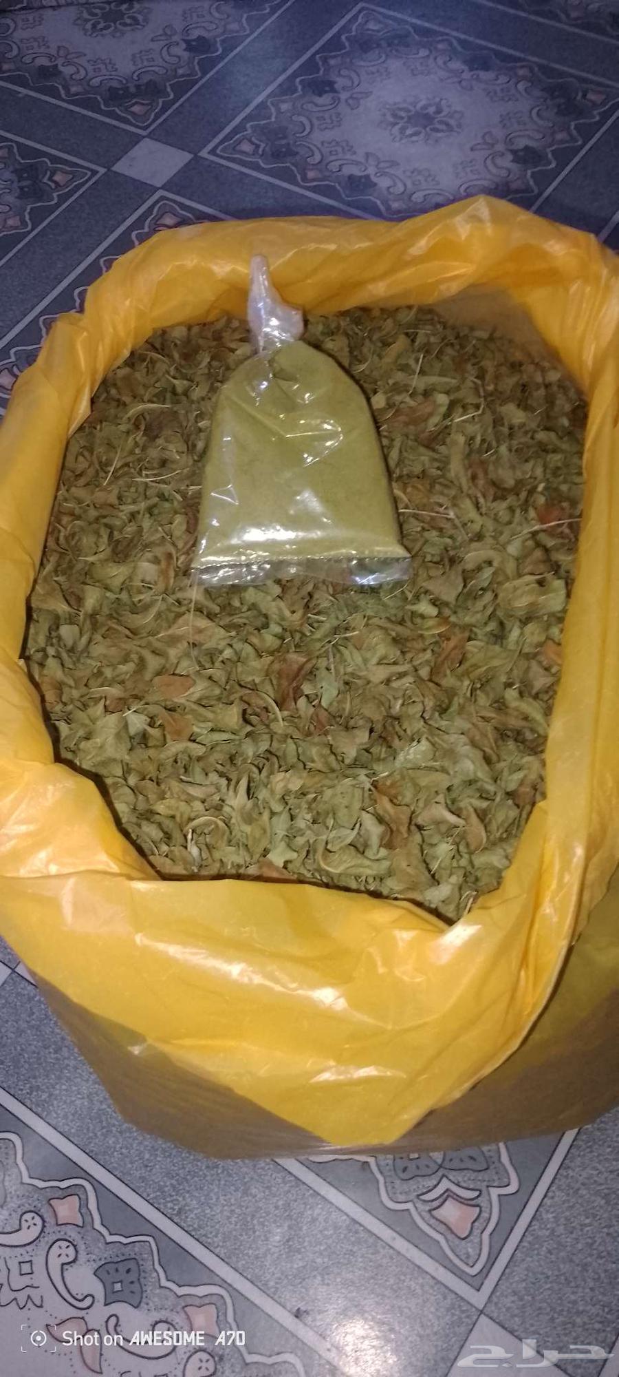 Hello, I have a quarter kilo of green powdered local henna for 10 Riyals64478045681026112