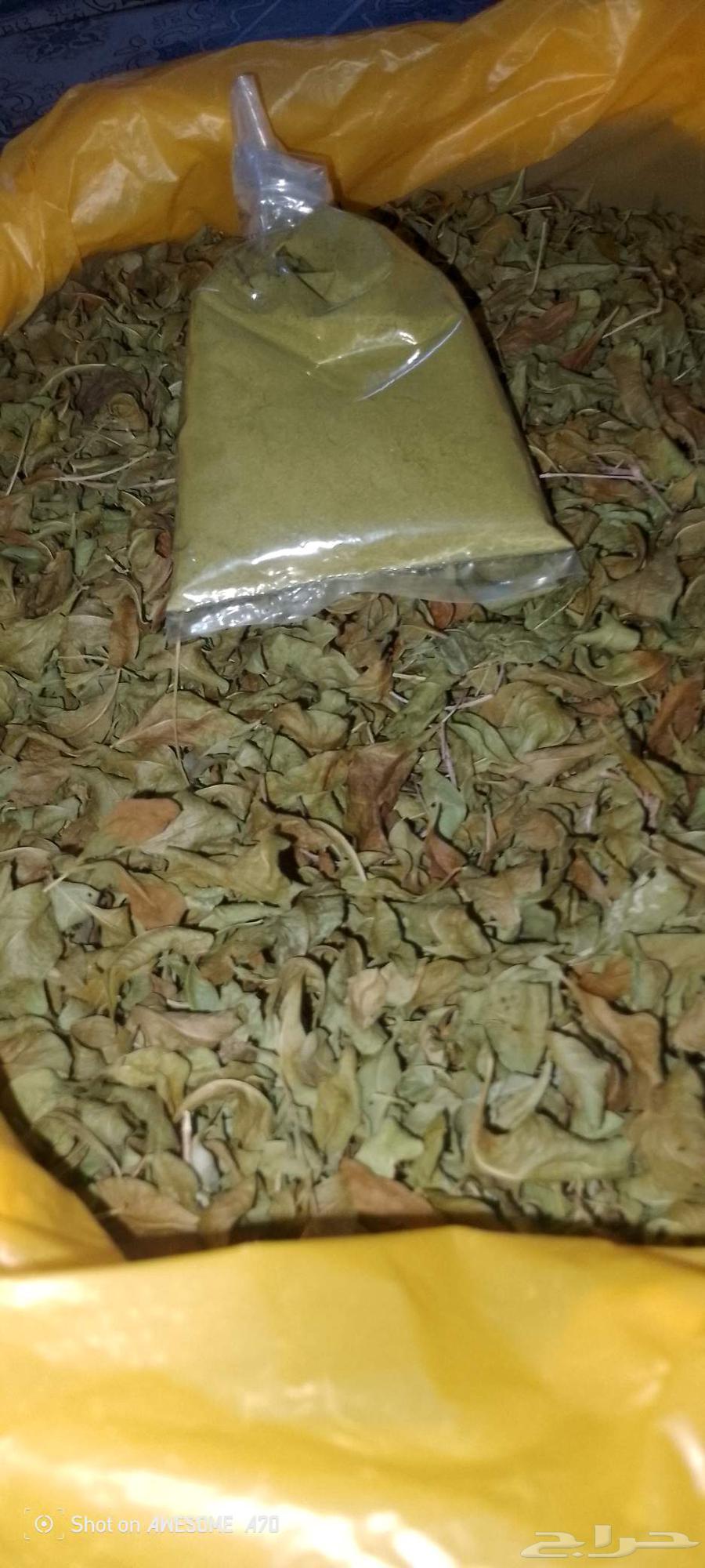 Hello, I have a quarter kilo of green powdered local henna for 10 Riyals64478045681026110