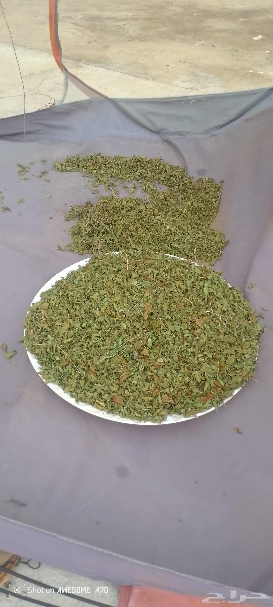 Hello, I have a quarter kilo of green powdered local henna for 10 Riyals64478045681026113