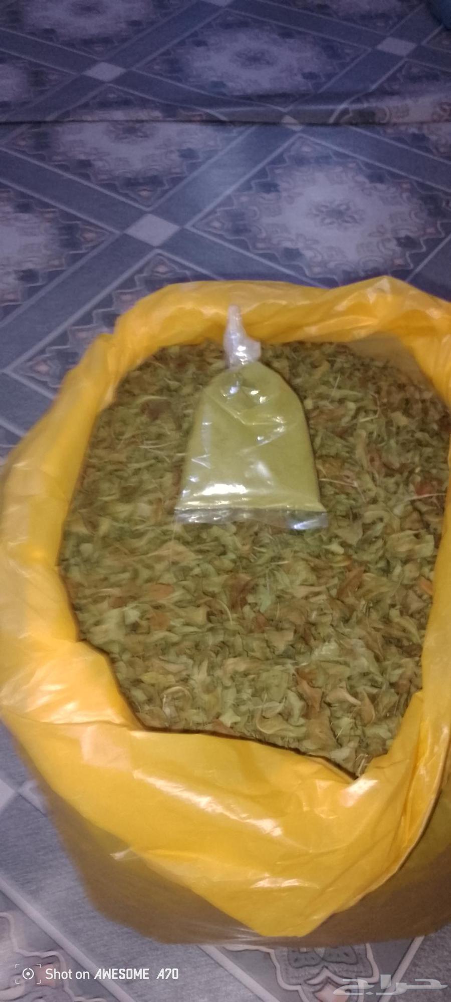 Hello, I have a quarter kilo of green powdered local henna for 10 Riyals64478045681026111