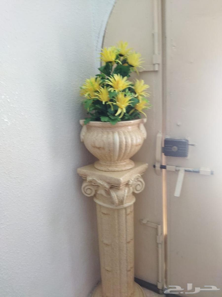 مدخل ومزهرينات شبه جديد64474804580355113