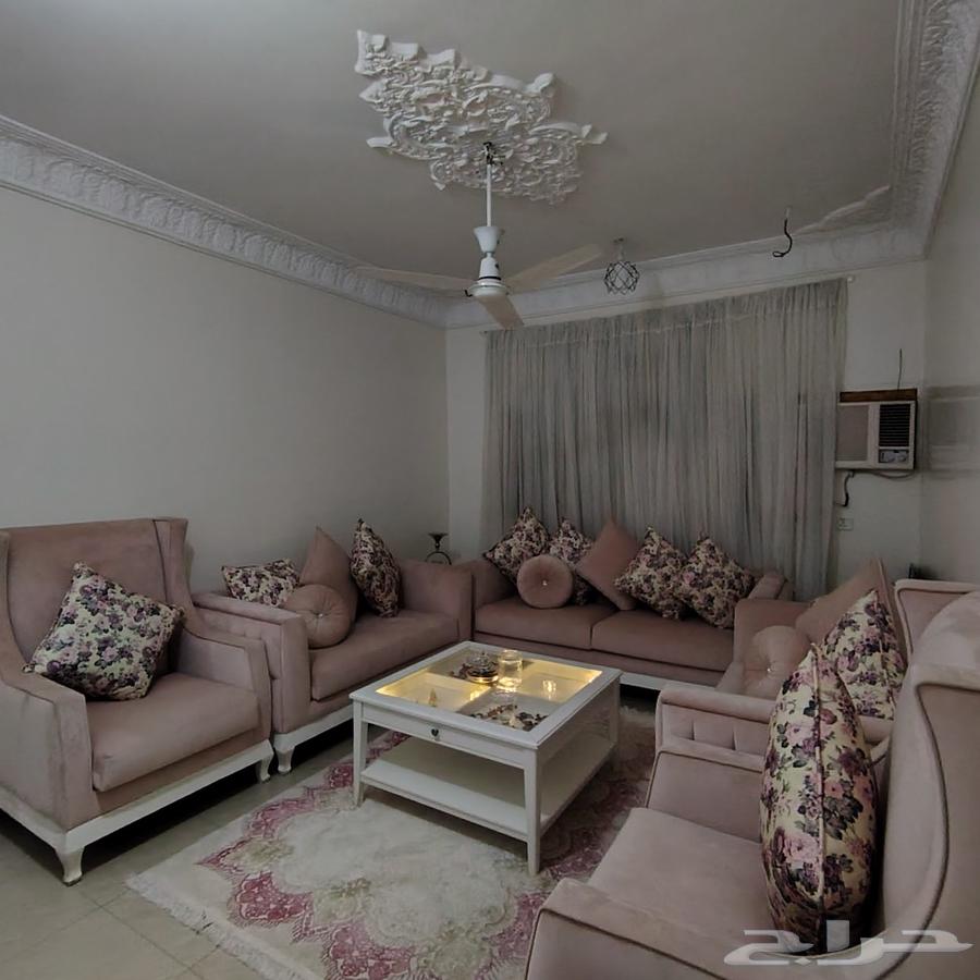 كنب زهري شبه جديد للبيع مع الطاوله والسجاده سبب البيع النقل64474945560578111