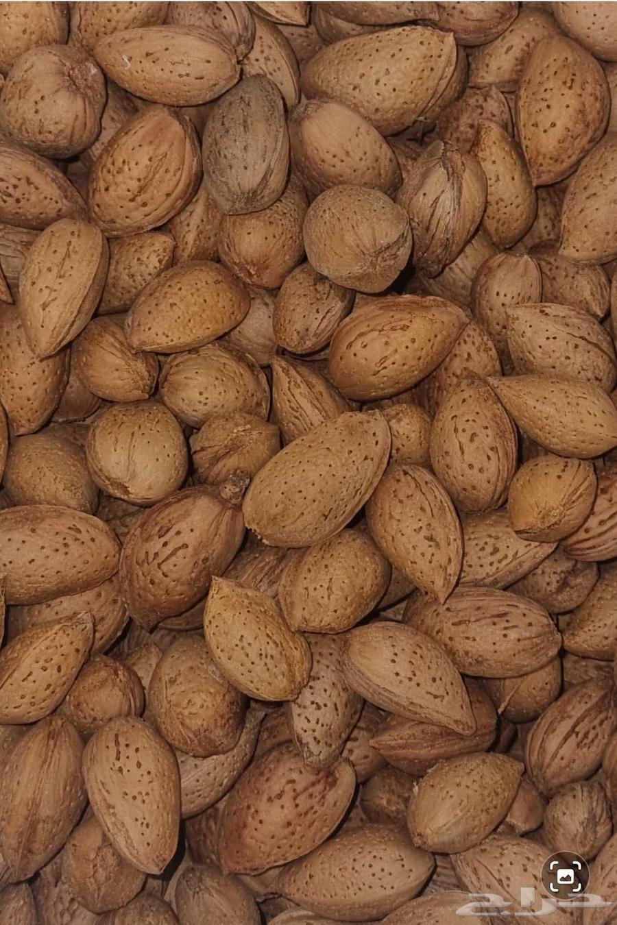 لوز بجلي بلدي مزارع الباحة64432564518146111