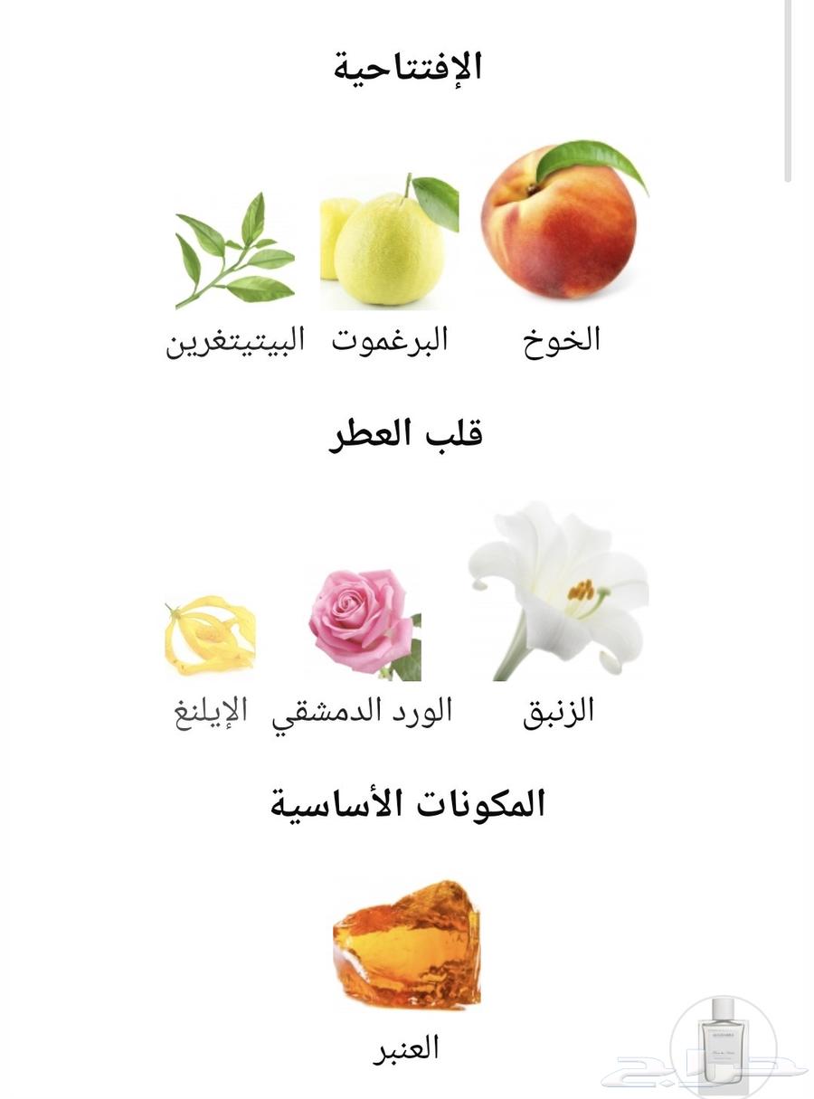 عطرين نيش مستخدمه للبيع64479287100161114