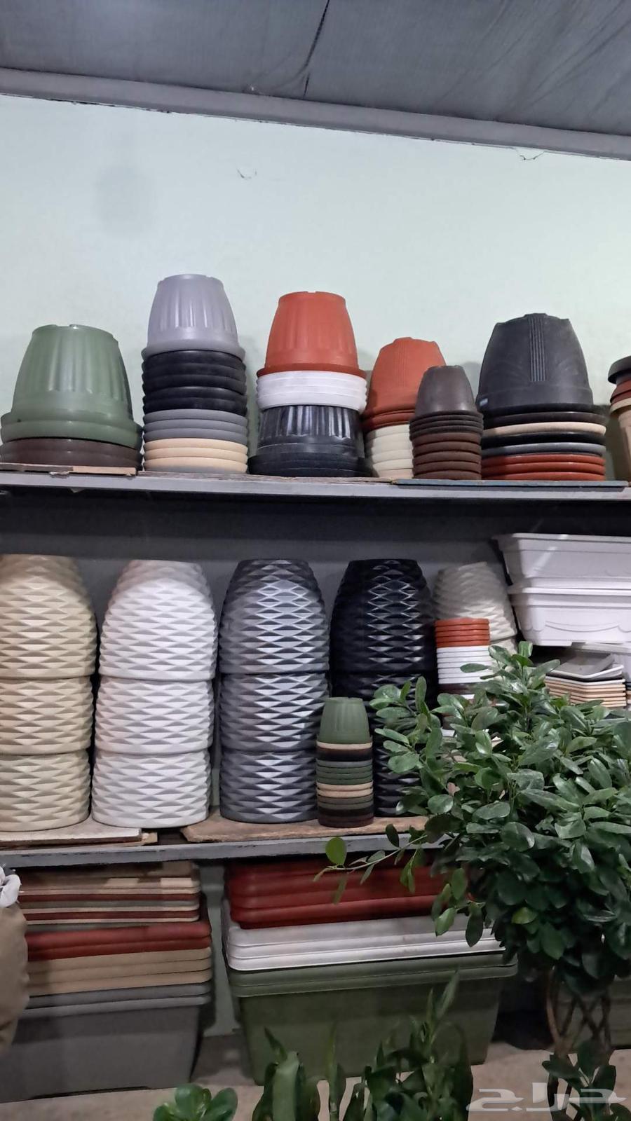 مشاتل ومزارع وتنسيق حدائق64146514475521114