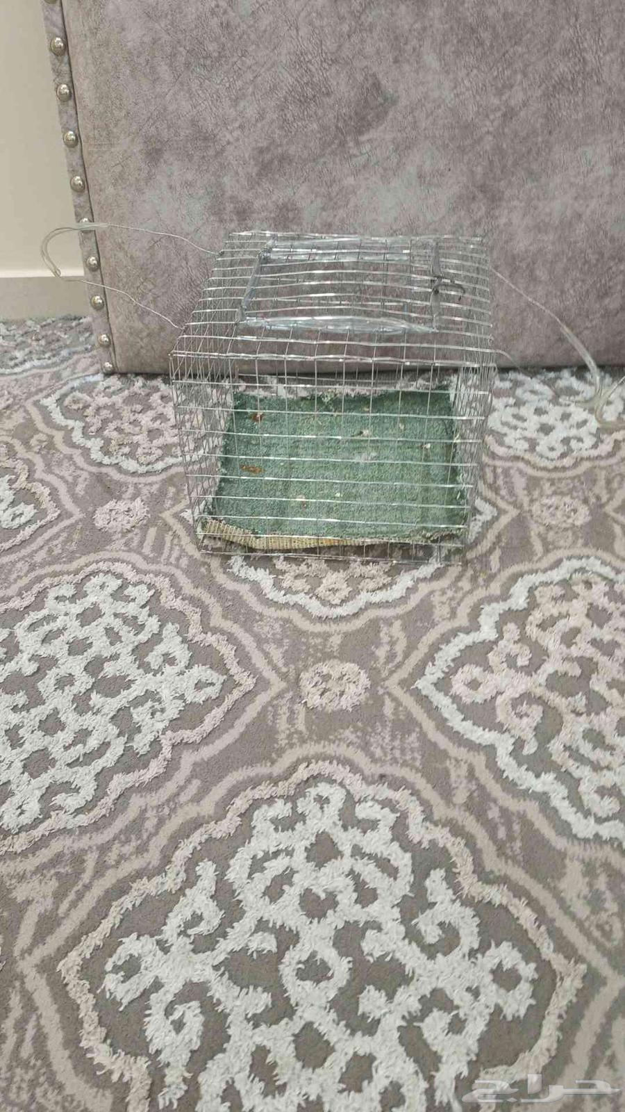 شبوك طيور وسقايه64481032717571111