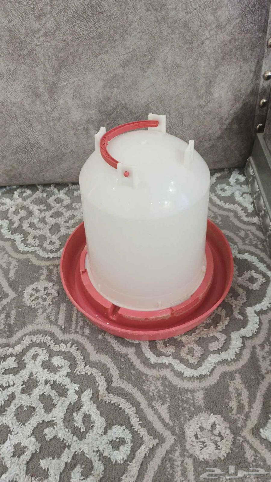 شبوك طيور وسقايه64481032717571113