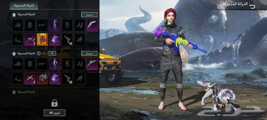 حساب ببجي64479120091779113