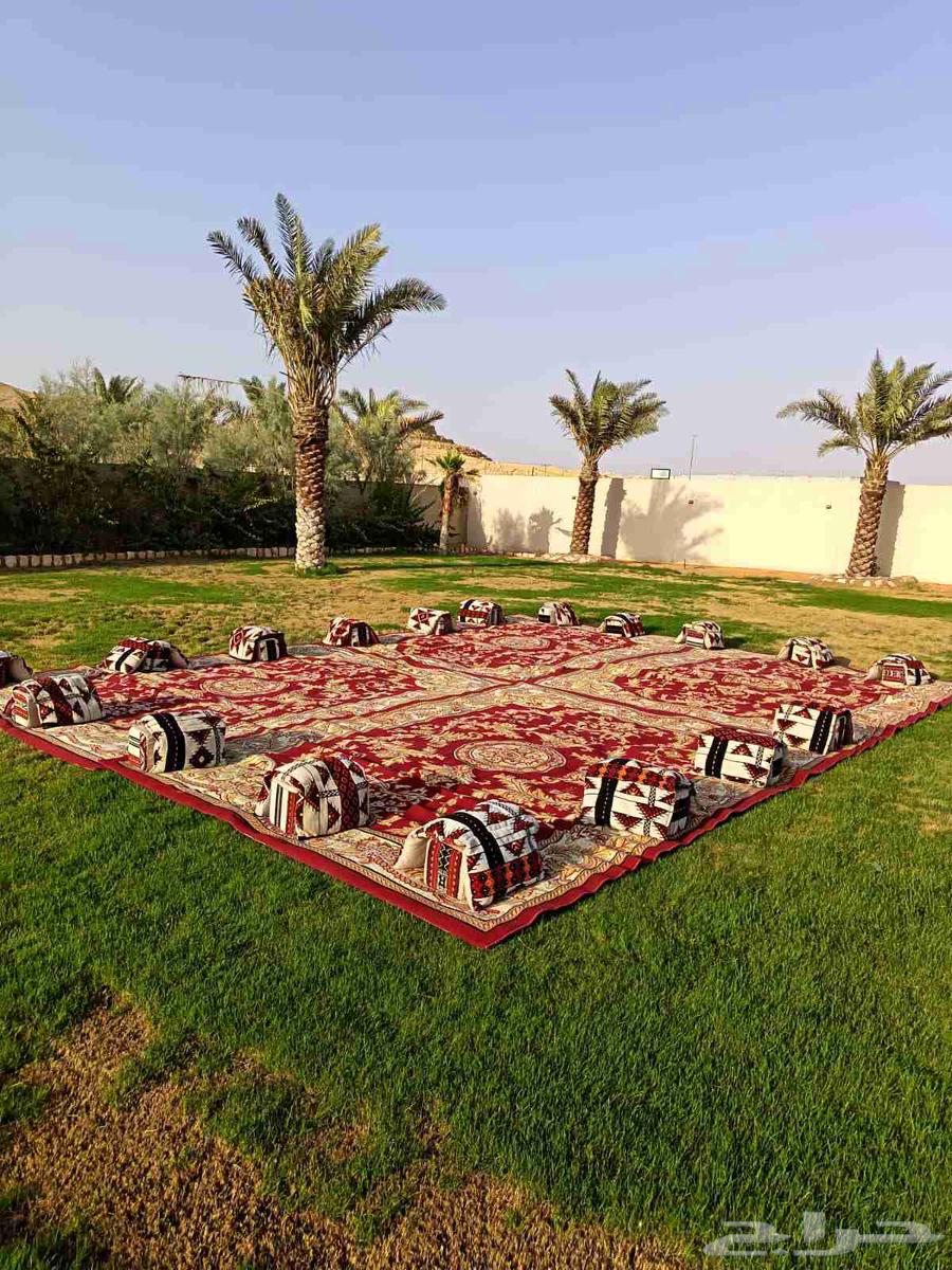 Renting chairs, tables, popular seating sets, coffee makers and servers64482946161665114