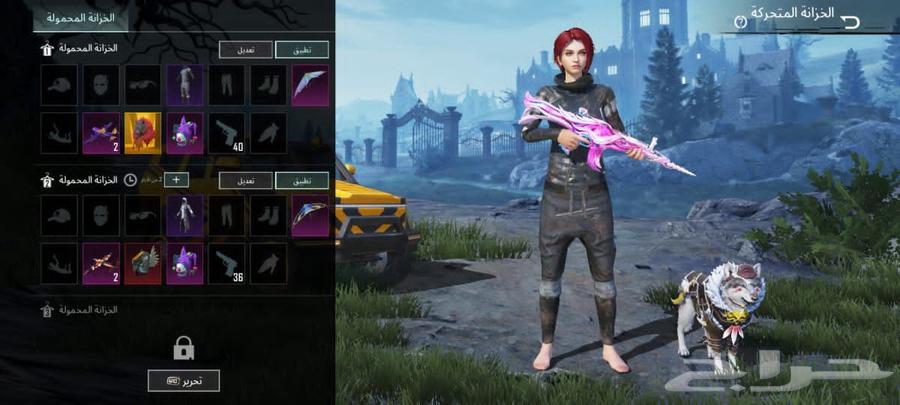 حساب ببجي64479120091779111