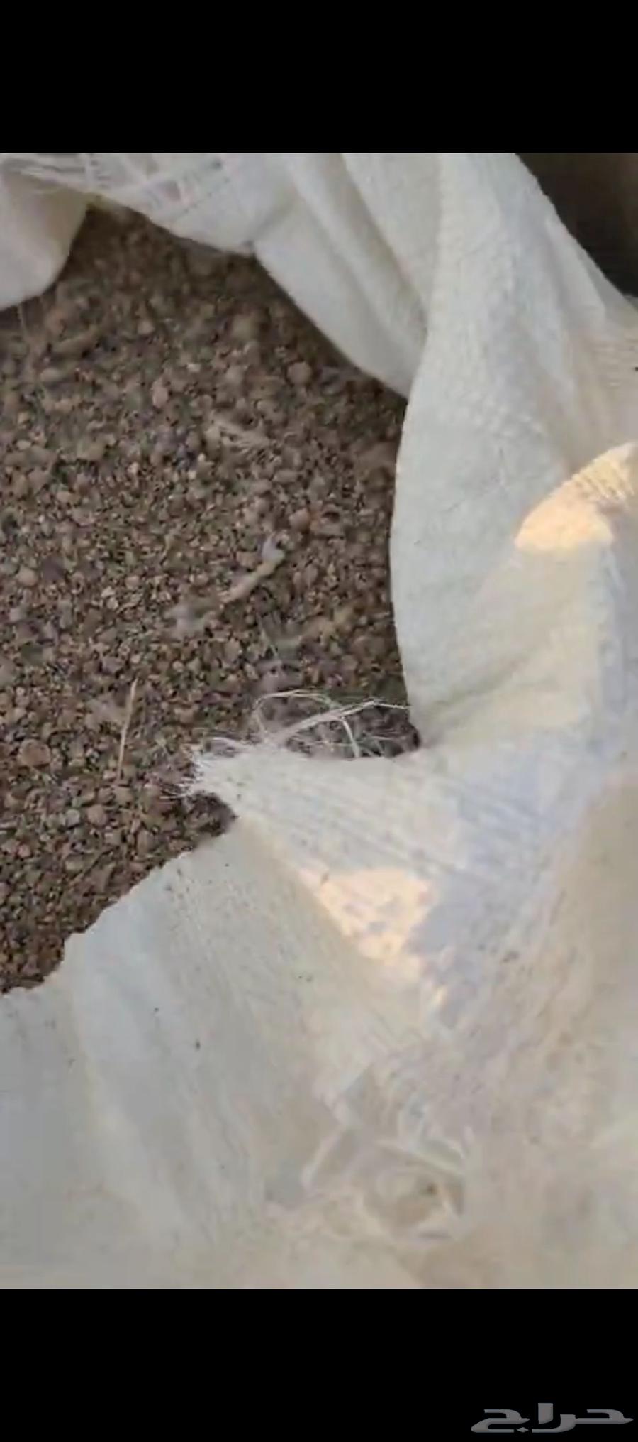 سماد بقري وسماد دواجن64482728108035113