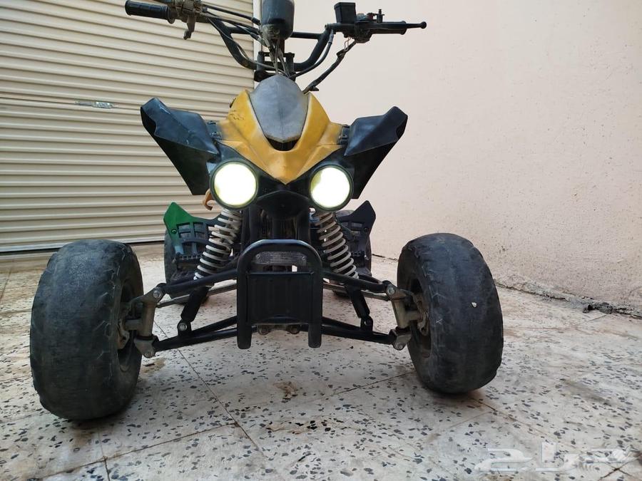 تم البيع دباب فراشه اربع كفرات64485834018818111