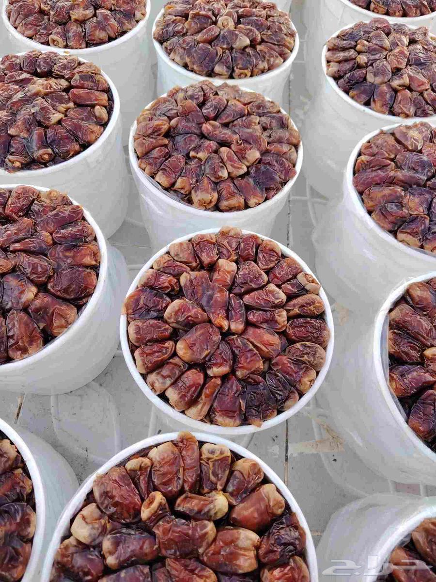 تمور برني العيص سطول فاخره تعبيئه اليومين هذي64483867626626111