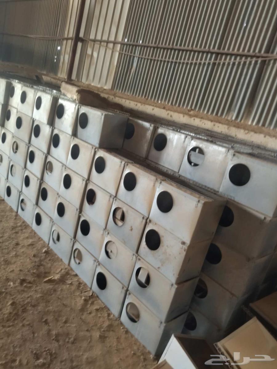 بطاريات ارانب جديده لم تستخدم بعد خامة تقيلة ومجلفنة ضدد اأ64479548976514112