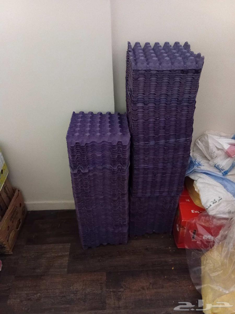 طبق بيض فاضي 100حبه وخيشه بطاطس للبيع64482186459649110