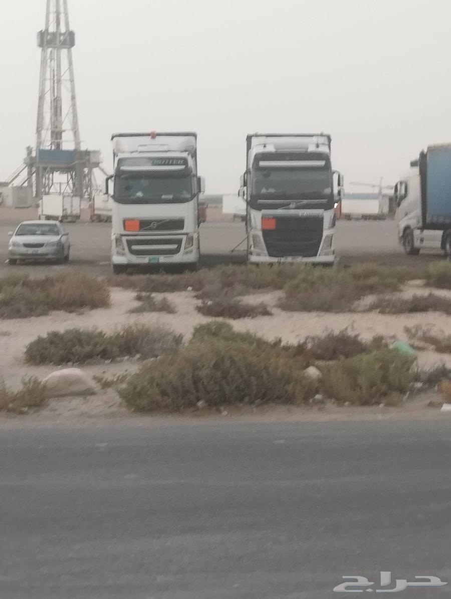 تريلا  ستارة-نقل-داخل وخارج الرياض كل الحراج نقل عفش نقل ثق64147076281090111