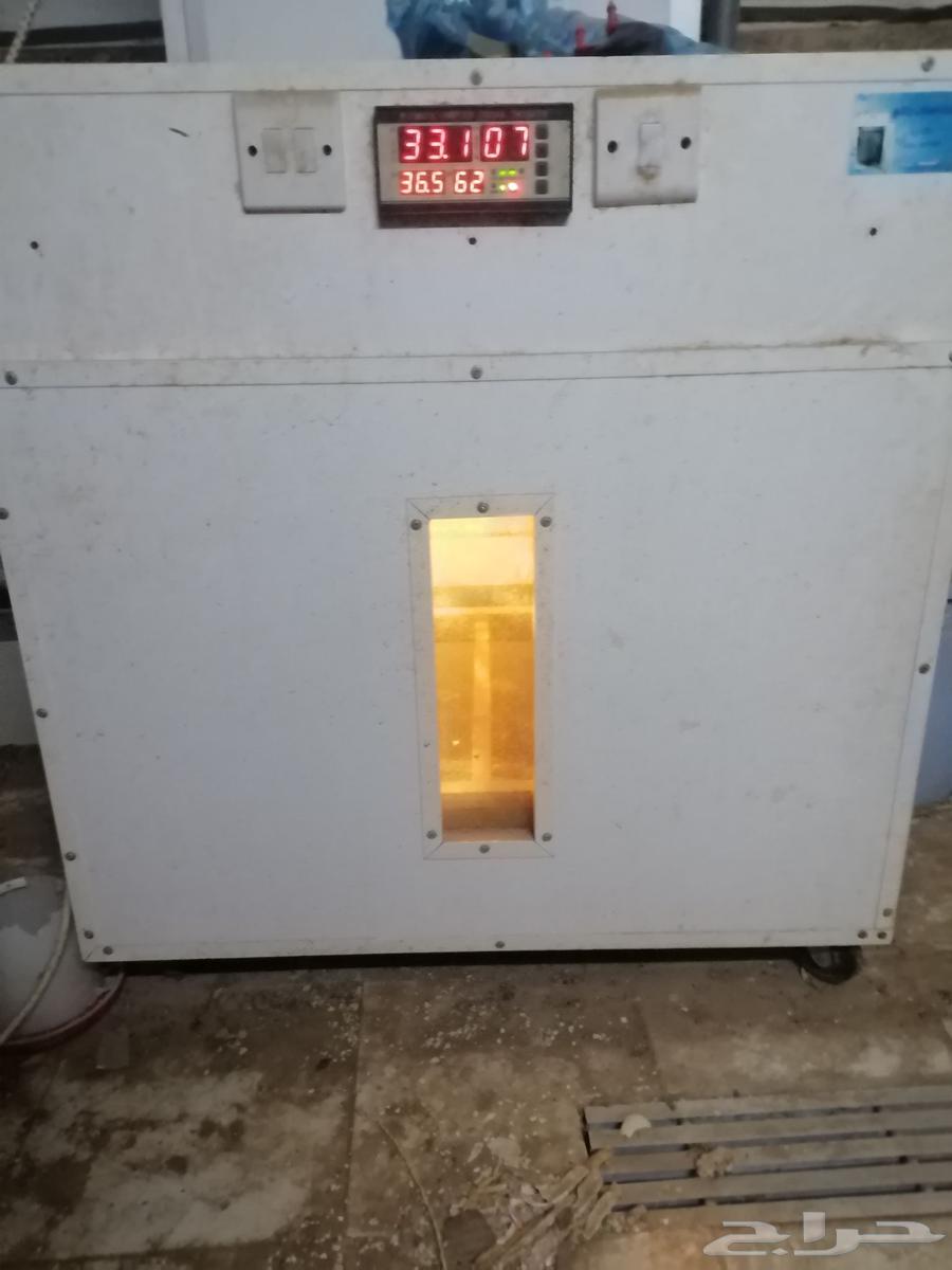 Tamtik incubator64486246677890110