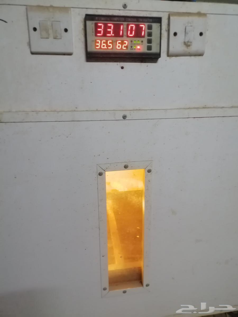 Tamtik incubator64486246677890114