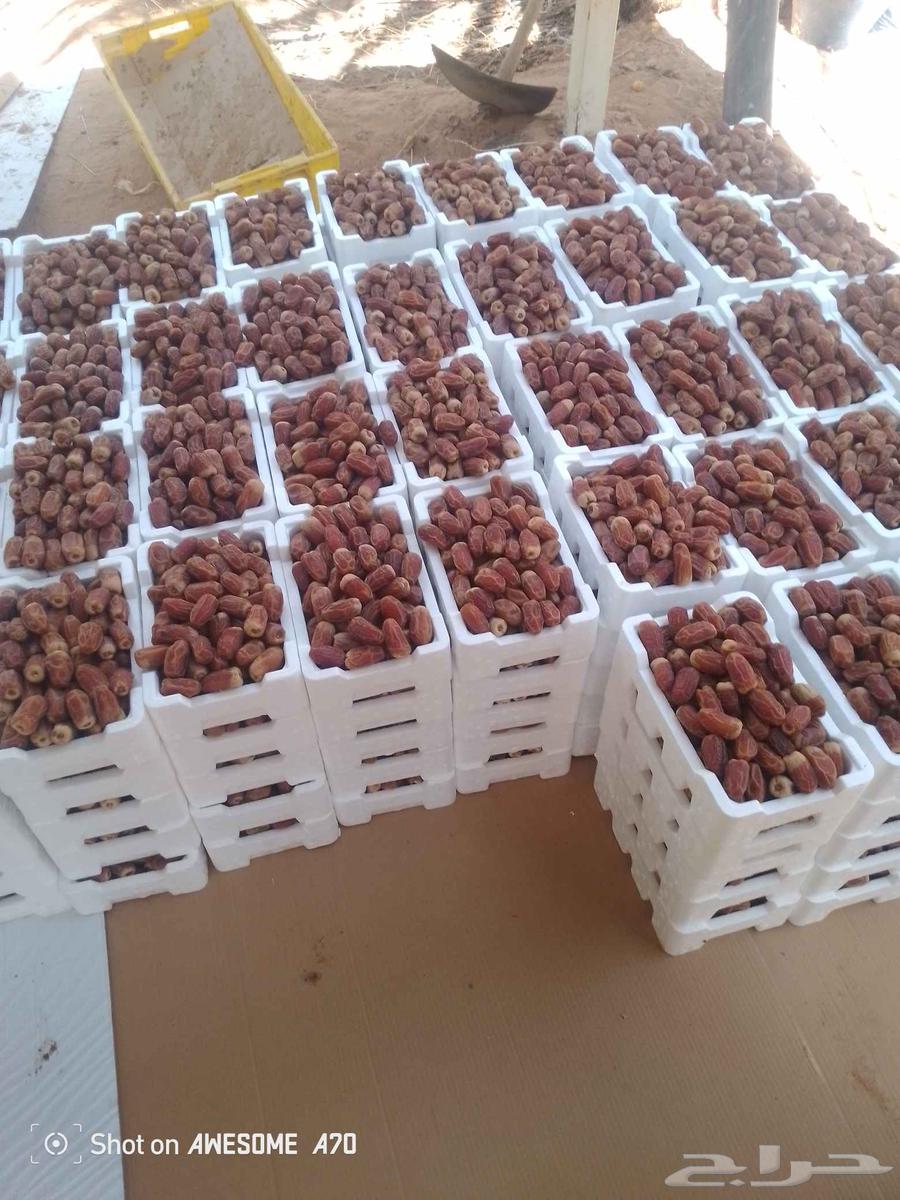 اعمل جميع اشغال النخيل سلام النخيل وخراب النخل جميع اشغال ال64389113814019114