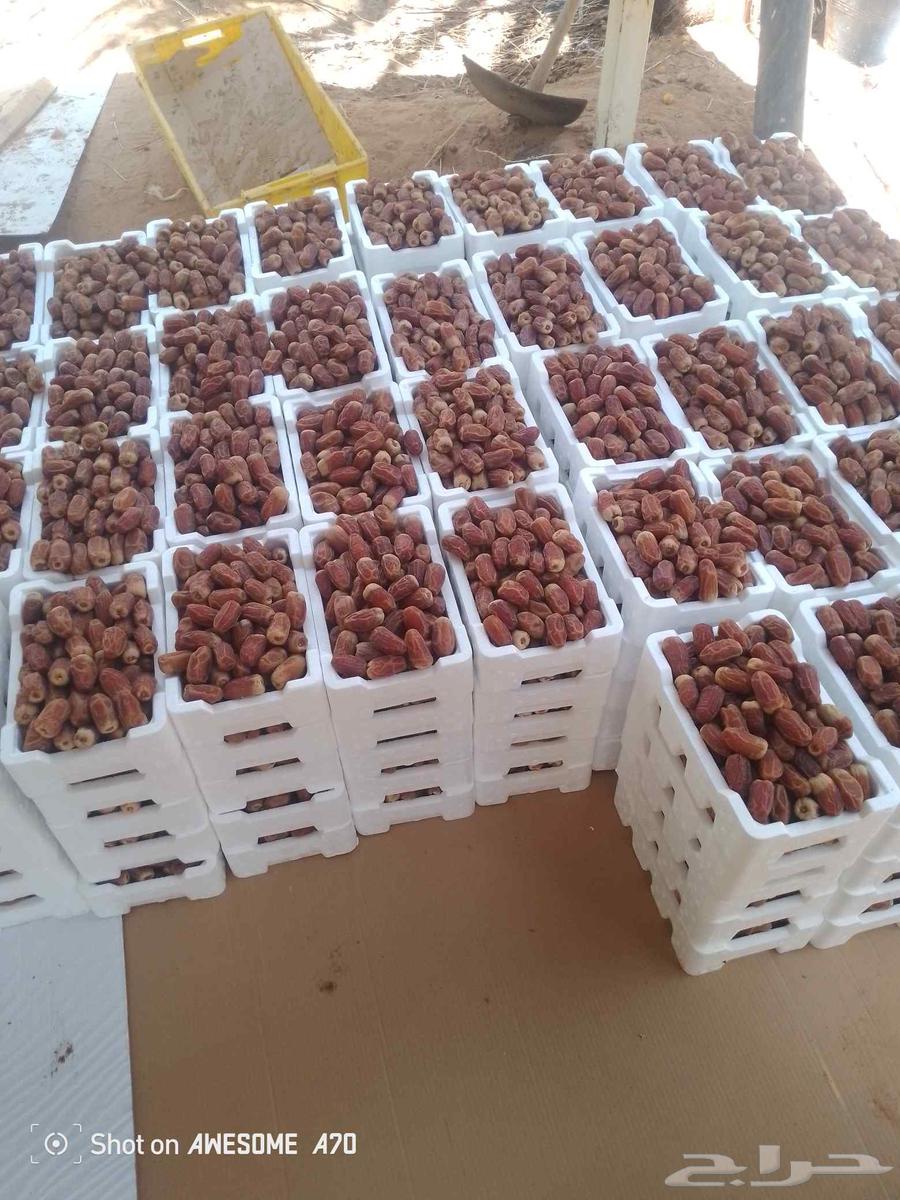 اعمل جميع اشغال النخيل سلام النخيل وخراب النخل جميع اشغال ال64389113814019113