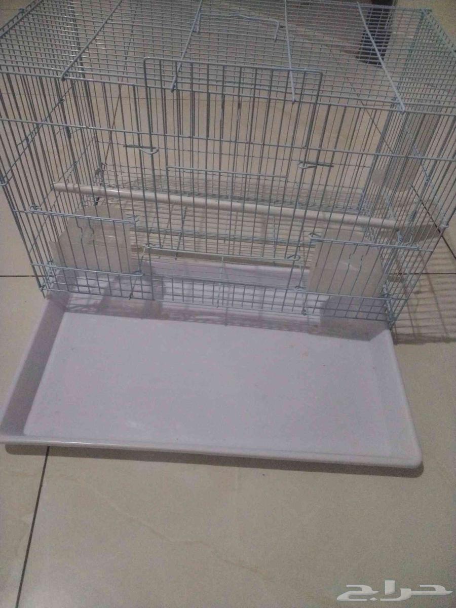 قفص قياس 600لانتاج بادجي والرموز الكروان جديد لم يستخدم64483826285569111
