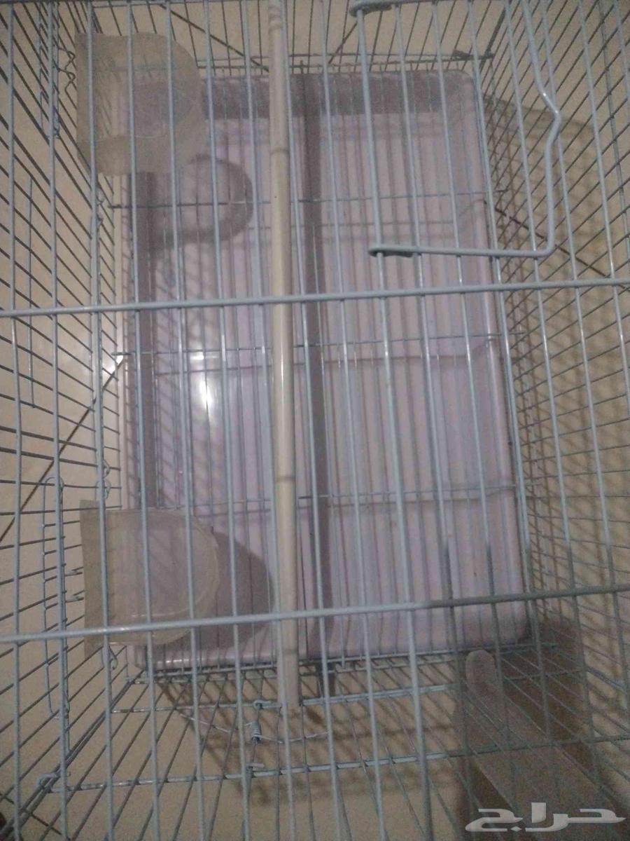 قفص قياس 600لانتاج بادجي والرموز الكروان جديد لم يستخدم64483826285569112