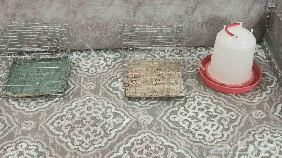 شبوك طيور وسقايه64481032717571110