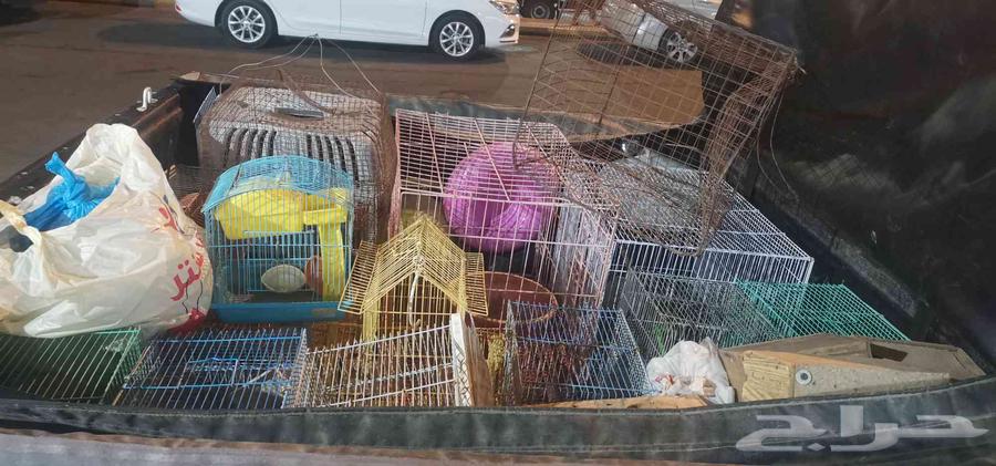اقفاص عصافير و بغبغاء و دجاج وقطط و وهمستر وتوابعها64479915121026111