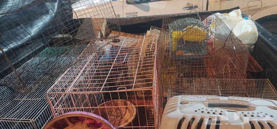 اقفاص عصافير و بغبغاء و دجاج وقطط و وهمستر وتوابعها64479915121026110